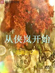 从侠岚开始封面
