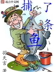 捕了条鱼封面