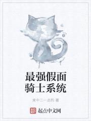 最强假面骑士系统封面