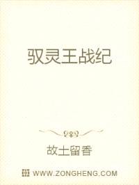 驭灵王战纪封面
