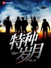 特种岁月封面