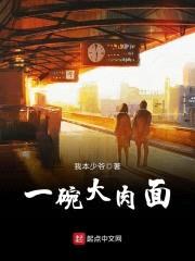 一碗大rou面封面
