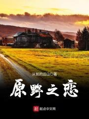 原野之恋封面