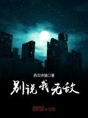 别说我无敌封面