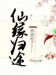 仙缘归途封面
