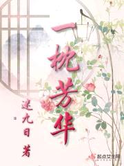 一枕芳华封面