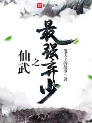 仙武之最强弃少封面