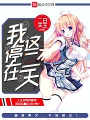 我停在这二天封面