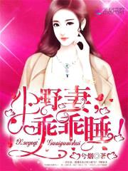 小野妻，乖乖睡！封面