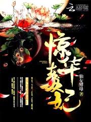 惊华毒妃封面