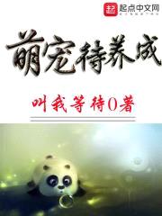 萌宠待养成封面