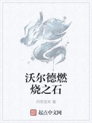 沃尔德传奇之燃烧的奇迹封面