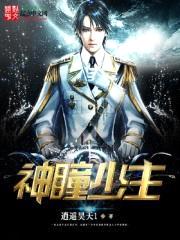 神瞳少主封面