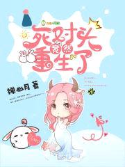 重生之军婚惹火封面