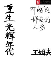 重生光辉年代封面