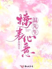 温先生，撩表心意封面