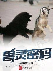 兽灵密码封面