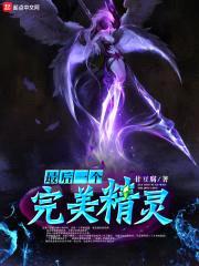 最后一个完美精灵封面