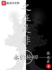 之在是非之永恒轮回封面