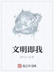 文明即我封面