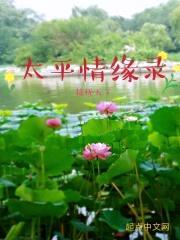 太平情缘录第一部风云初起封面