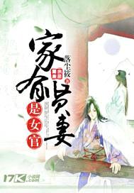 家有贤妻是女官封面