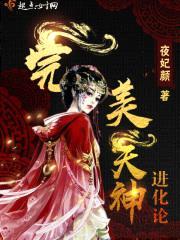 完美天神进化论封面