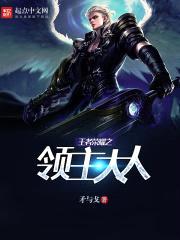 王者荣耀之领主大人封面