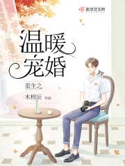 重生之温暖宠婚封面