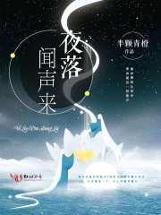 夜落闻声来封面