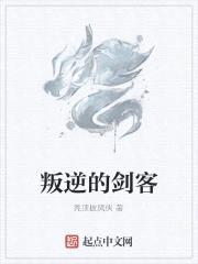 叛逆的游戏封面
