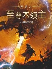 网游之至尊大领主封面