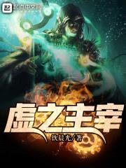 虚之主宰封面