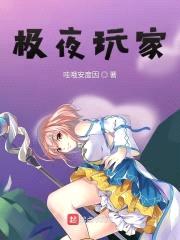 极夜玩家封面