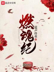 燃魂纪封面