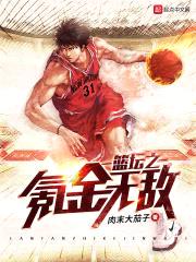 篮坛之氪金无敌封面