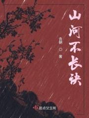 山河不长诀封面