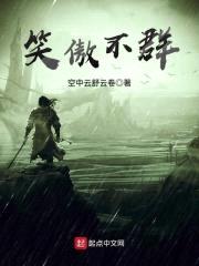 笑傲不群封面