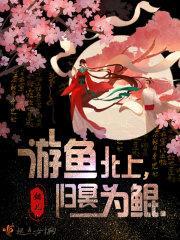 游鱼北上归冥为鲲封面