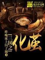 三国之化茧封面