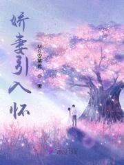 娇妻引入怀：520次说爱你封面