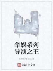 华娱系列导演之王封面