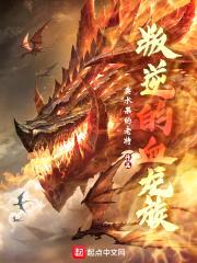 叛逆的血龙族封面