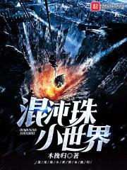 混沌珠小世界封面