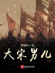 大宋男儿封面