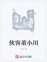 侠客董小川封面