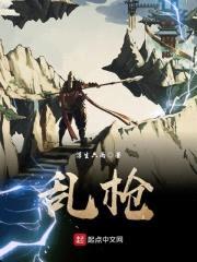 乱枪封面