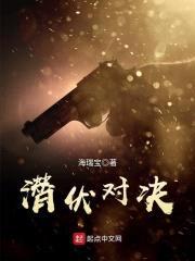 潜伏对决封面