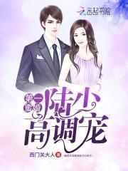 重生军婚：陆少高调宠封面