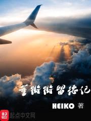 董锵锵留德记封面